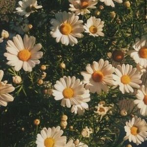 Meet your Posher, Berry